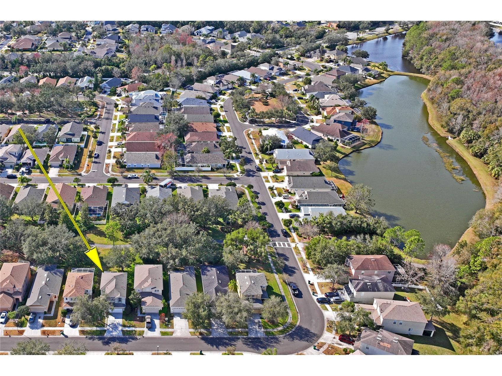 2449 Silvermoss Drive Wesley Chapel FL 33544 TB8468551 image46