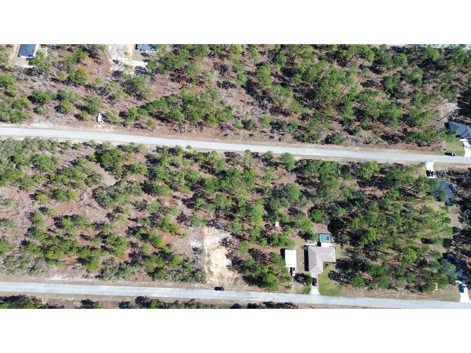 24491 NW Hemlock Avenue Dunnellon FL 34431 O6421857 image3