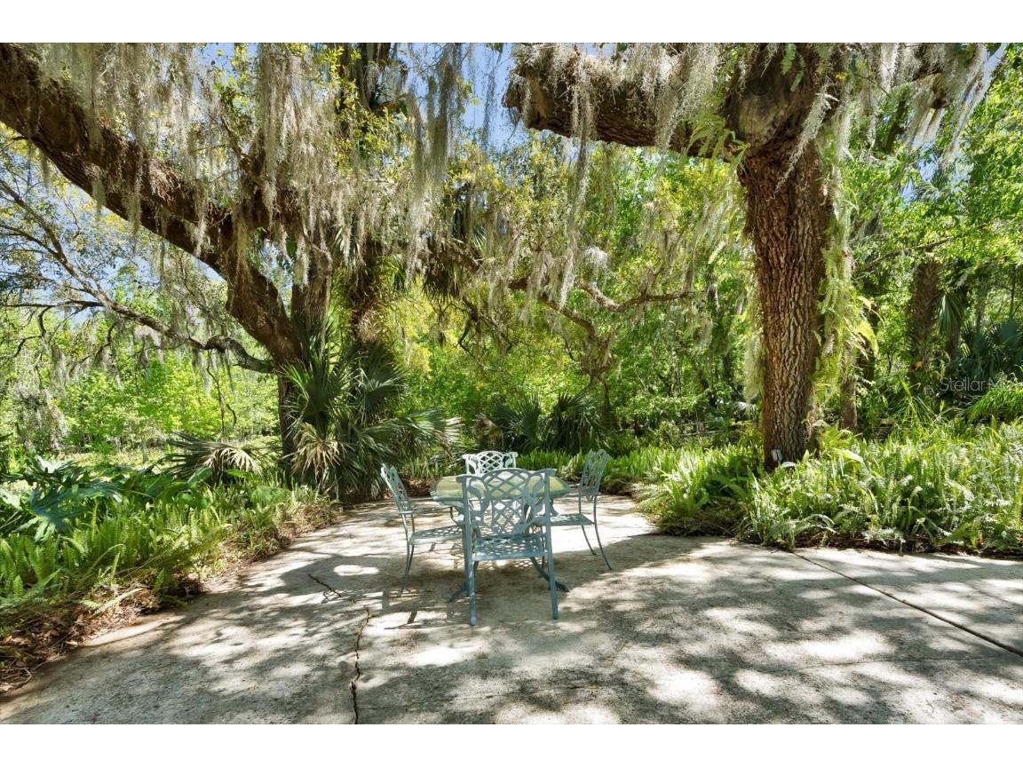 245 Country Circle Drive E Port Orange FL 32128 O6292559 image41