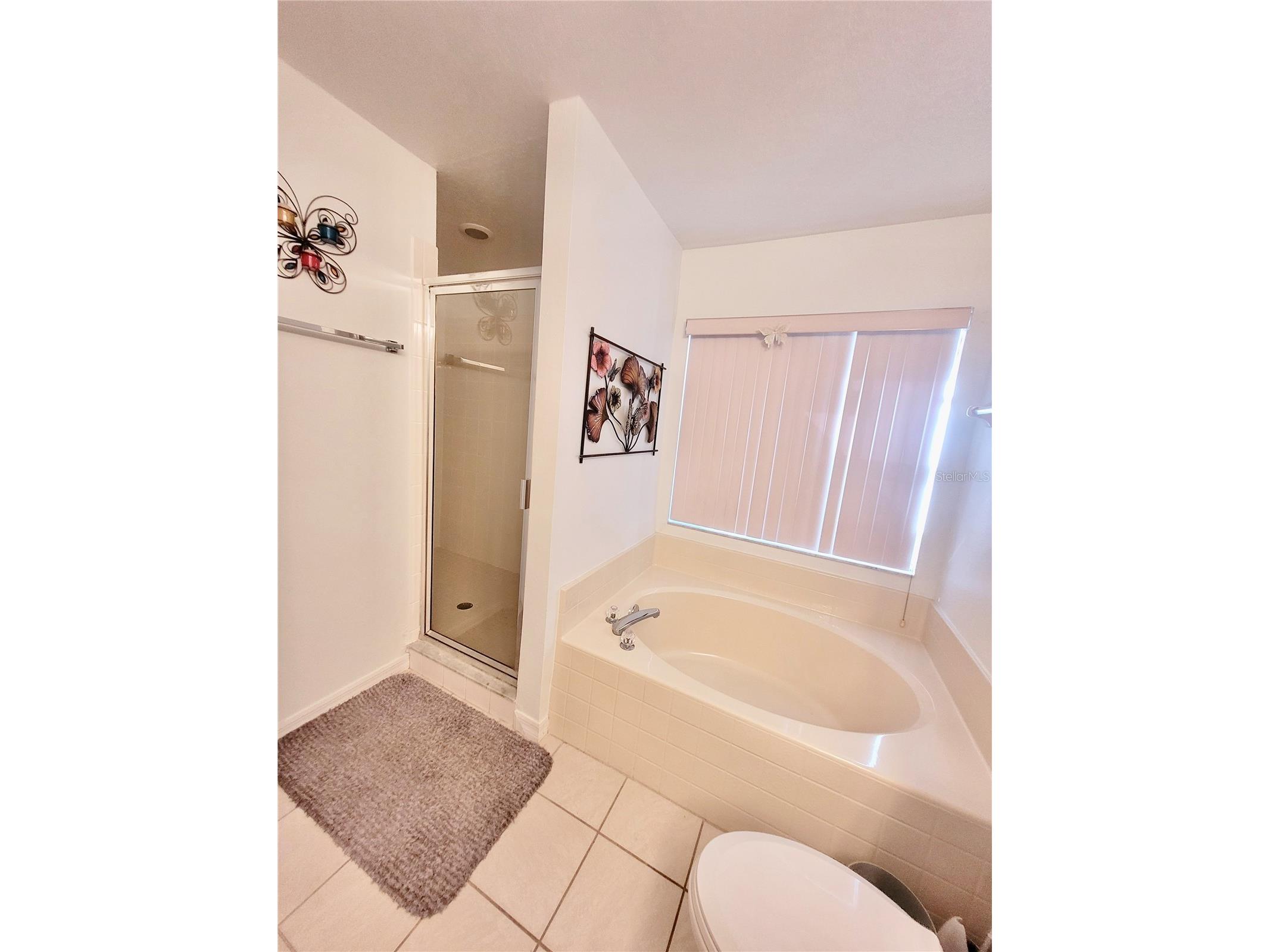 245 Foggy Creek Road Davenport FL 33837 O6406895 image7