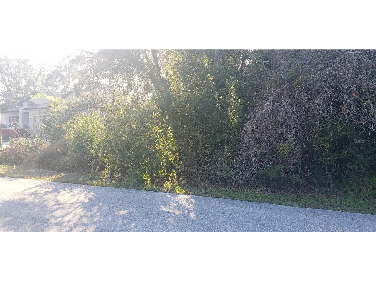 245 Leafy Way Avenue Spring Hill FL 34606 T3426789 image1