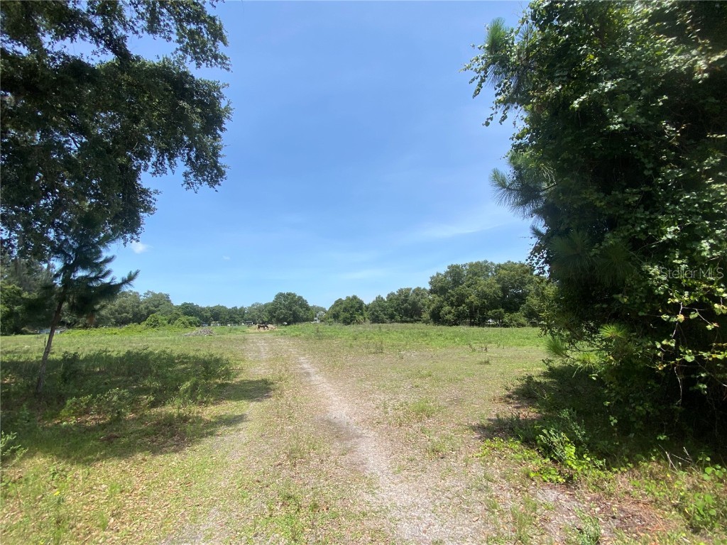 245 NE 98th Street Okeechobee FL 34972 OK222520 image1