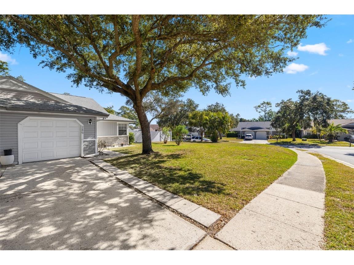 245 Petrea Drive Palm Harbor FL 34684 TB8444967 image1