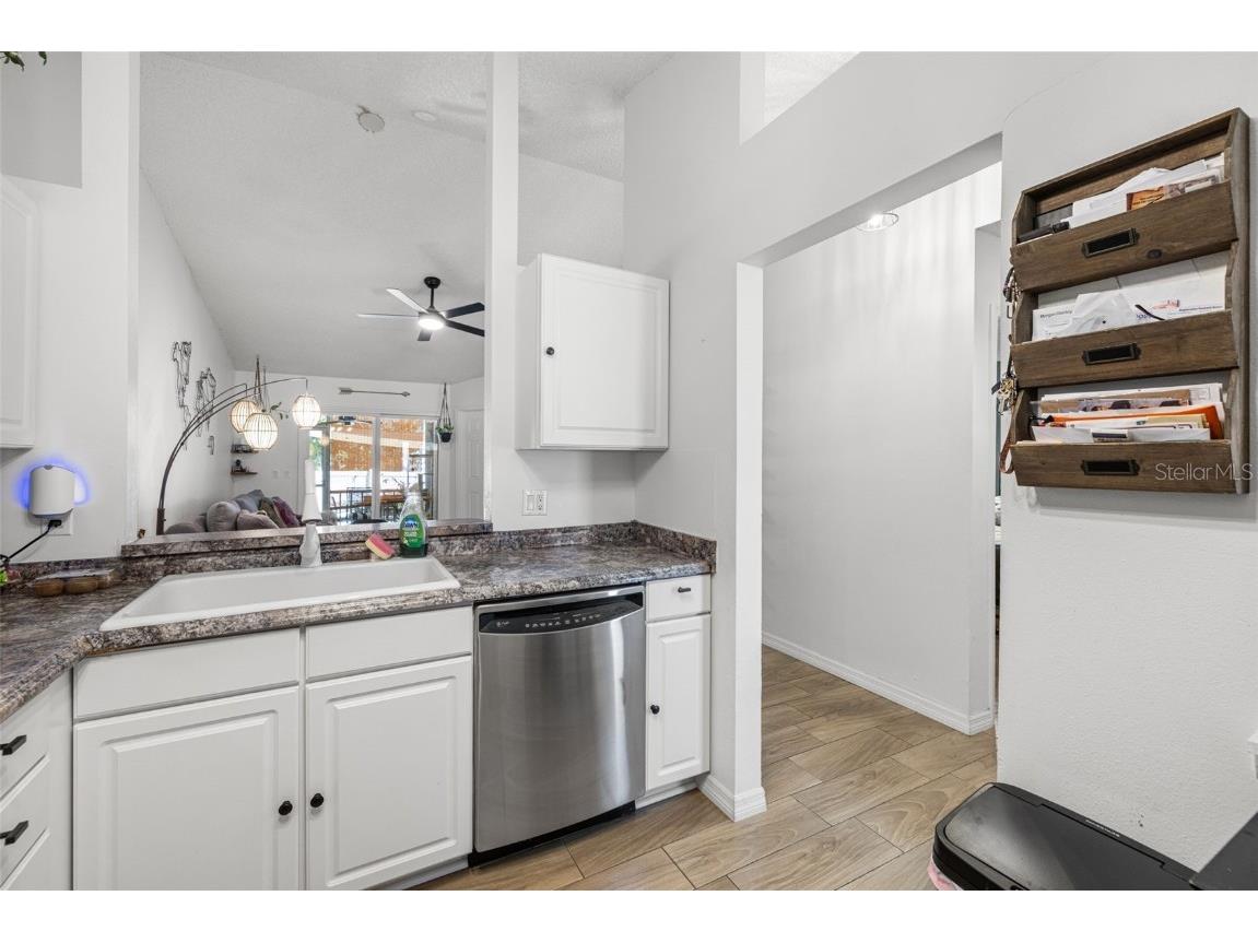 245 Petrea Drive Palm Harbor FL 34684 TB8444967 image11