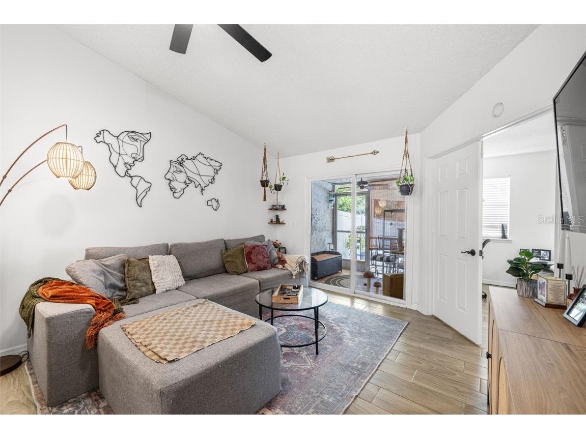 245 Petrea Drive Palm Harbor FL 34684 TB8444967 image14