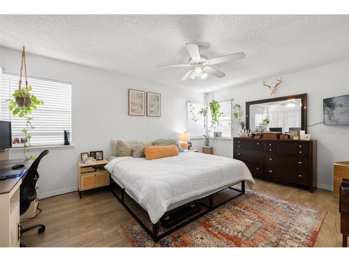 245 Petrea Drive Palm Harbor FL 34684 TB8444967 image17