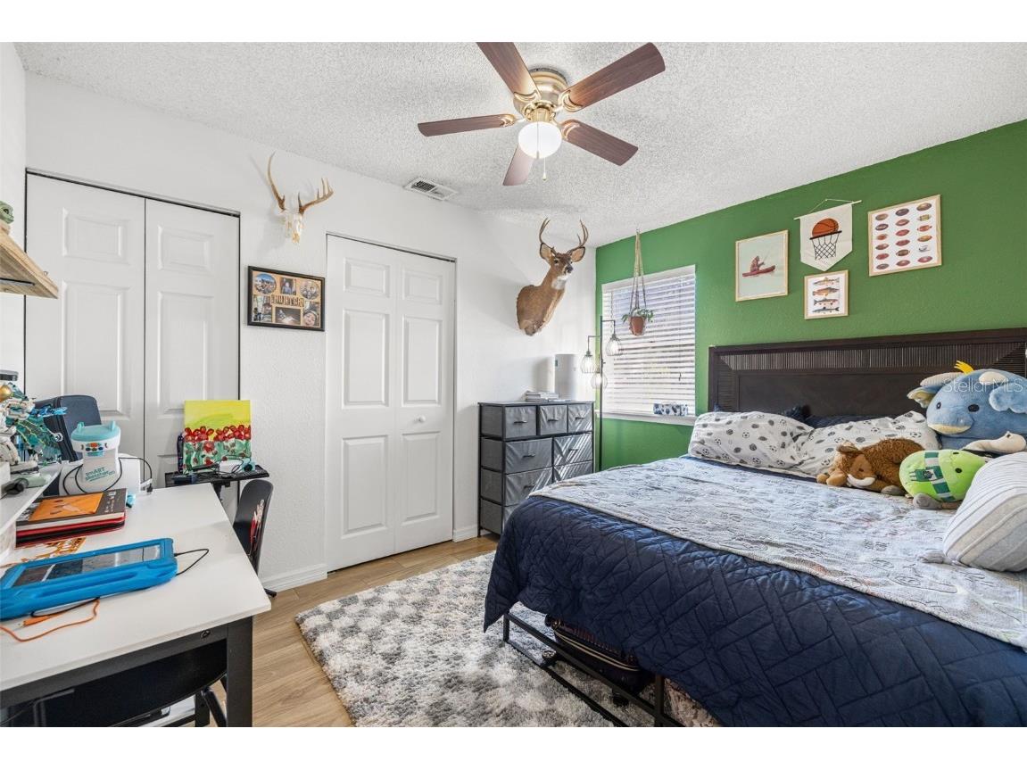 245 Petrea Drive Palm Harbor FL 34684 TB8444967 image20