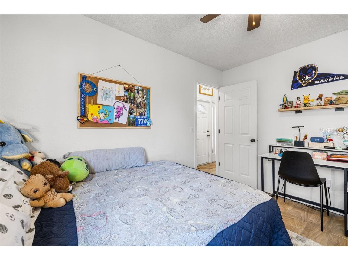 245 Petrea Drive Palm Harbor FL 34684 TB8444967 image21