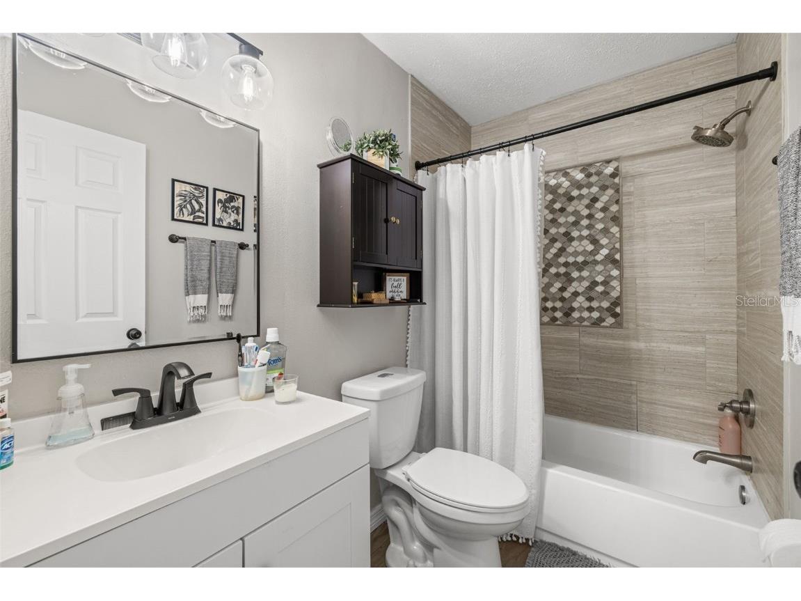 245 Petrea Drive Palm Harbor FL 34684 TB8444967 image22