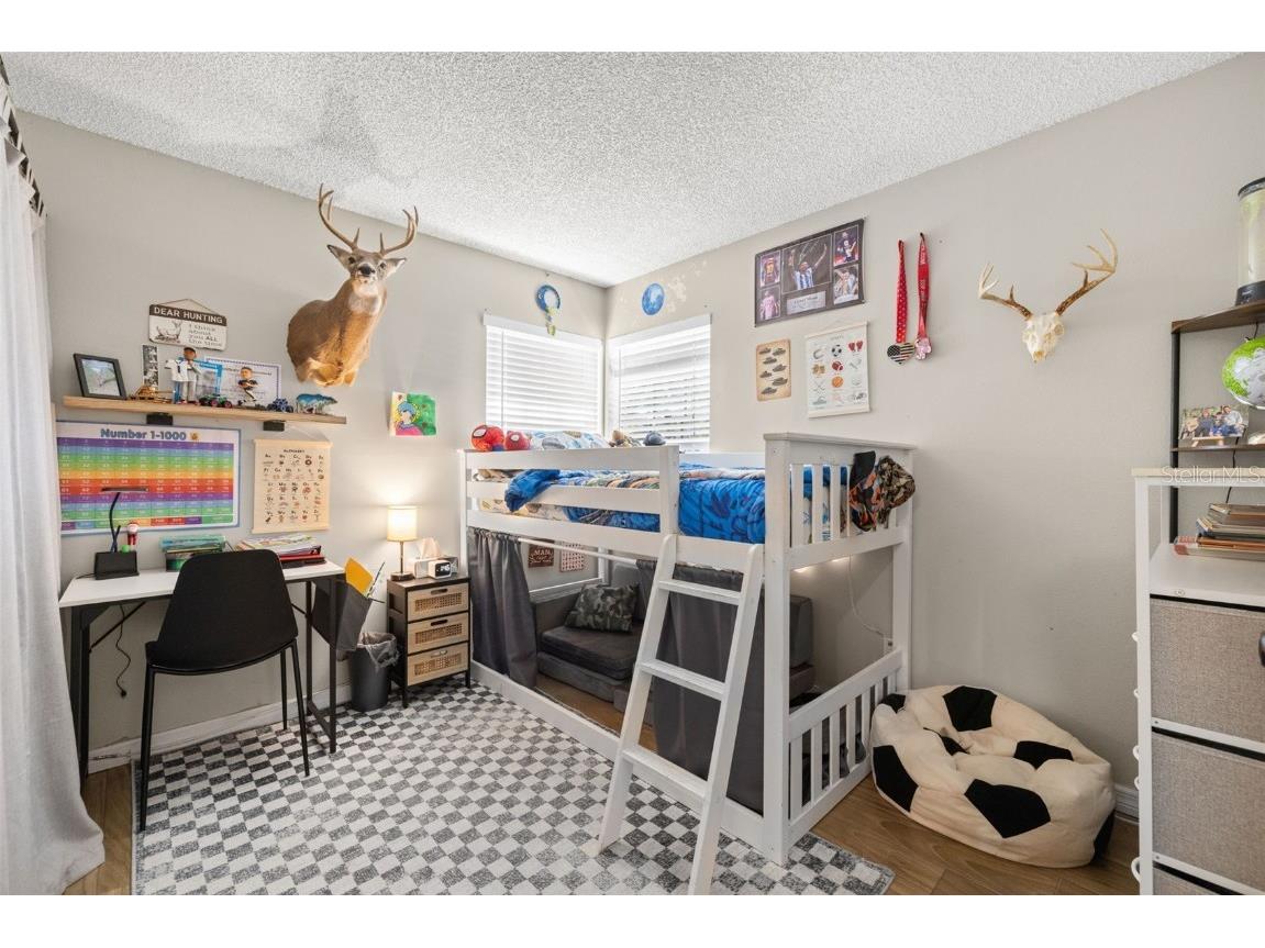 245 Petrea Drive Palm Harbor FL 34684 TB8444967 image23