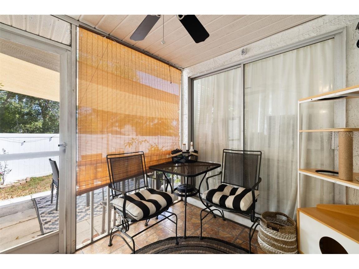 245 Petrea Drive Palm Harbor FL 34684 TB8444967 image24