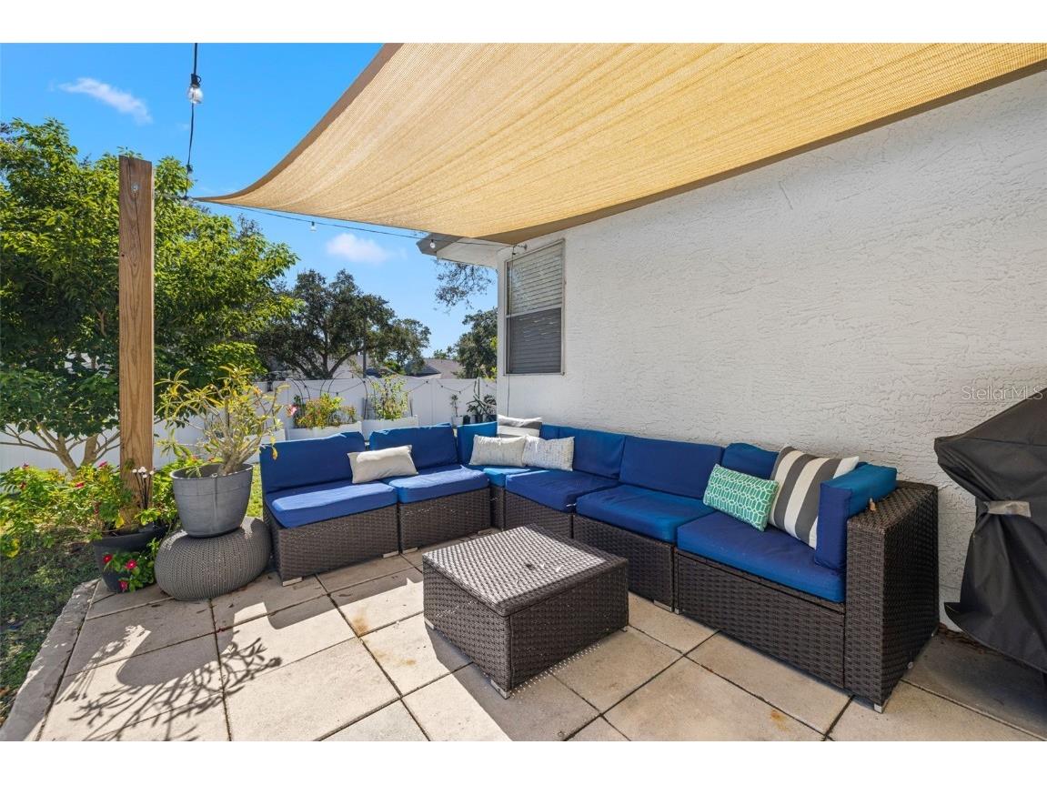 245 Petrea Drive Palm Harbor FL 34684 TB8444967 image26