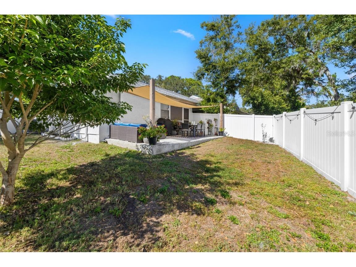 245 Petrea Drive Palm Harbor FL 34684 TB8444967 image28