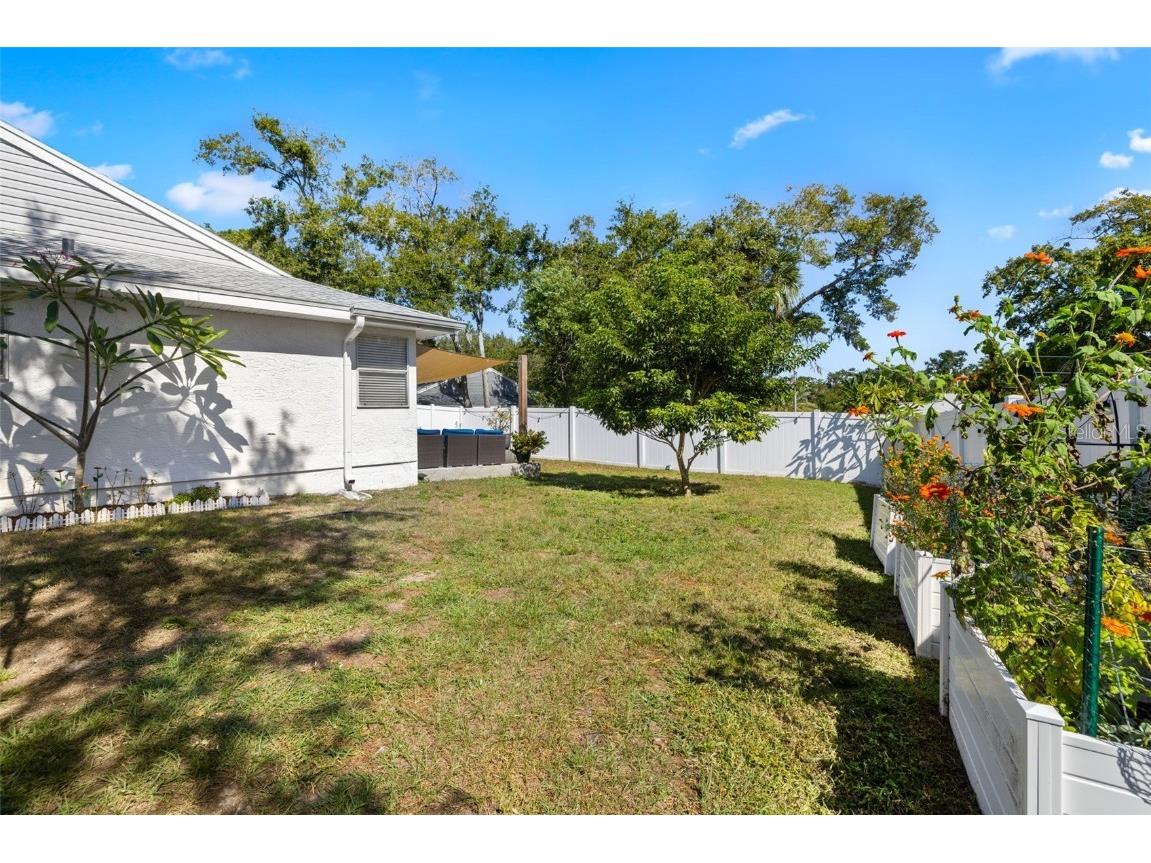245 Petrea Drive Palm Harbor FL 34684 TB8444967 image29