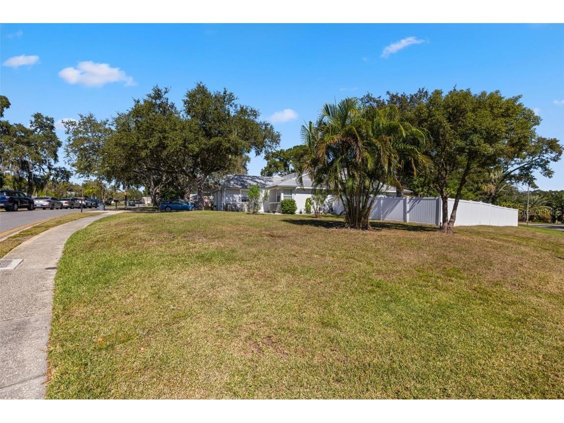 245 Petrea Drive Palm Harbor FL 34684 TB8444967 image3