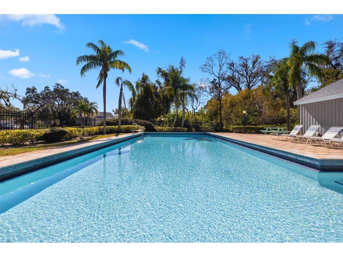 245 Petrea Drive Palm Harbor FL 34684 TB8444967 image30