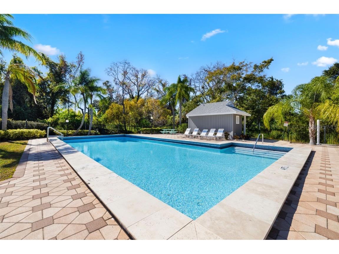 245 Petrea Drive Palm Harbor FL 34684 TB8444967 image31