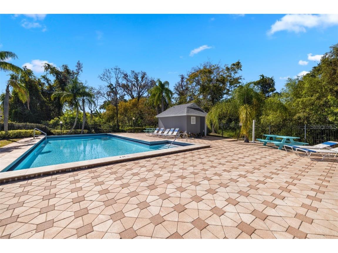 245 Petrea Drive Palm Harbor FL 34684 TB8444967 image32