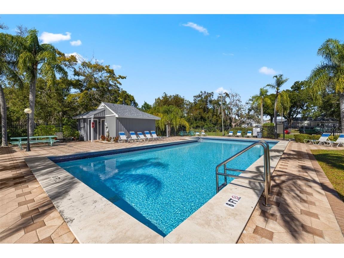 245 Petrea Drive Palm Harbor FL 34684 TB8444967 image35