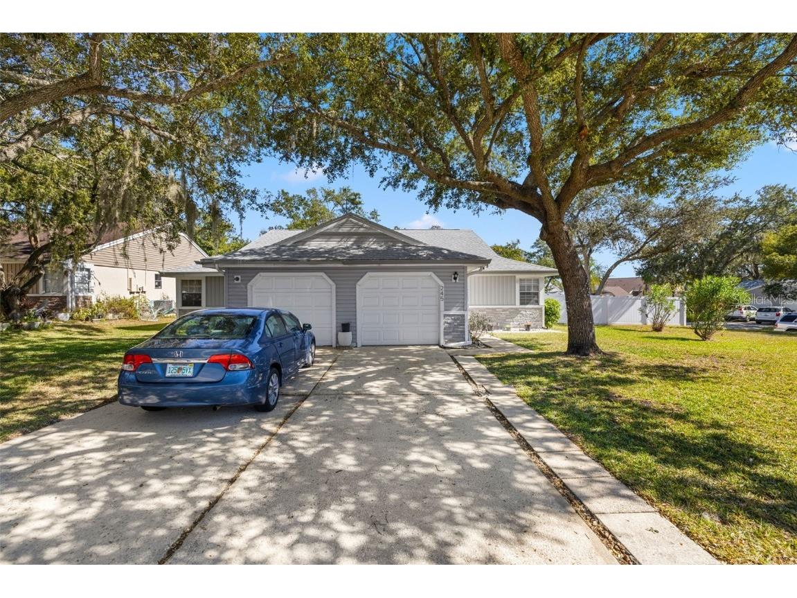 245 Petrea Drive Palm Harbor FL 34684 TB8444967 image4