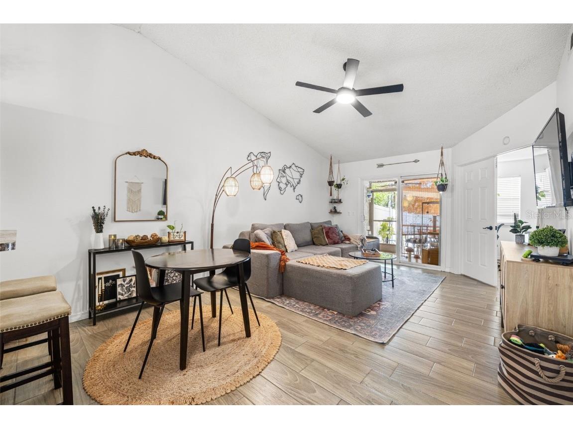 245 Petrea Drive Palm Harbor FL 34684 TB8444967 image5