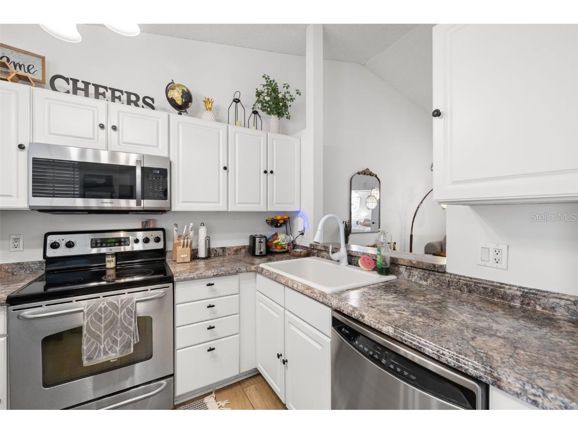 245 Petrea Drive Palm Harbor FL 34684 TB8444967 image7