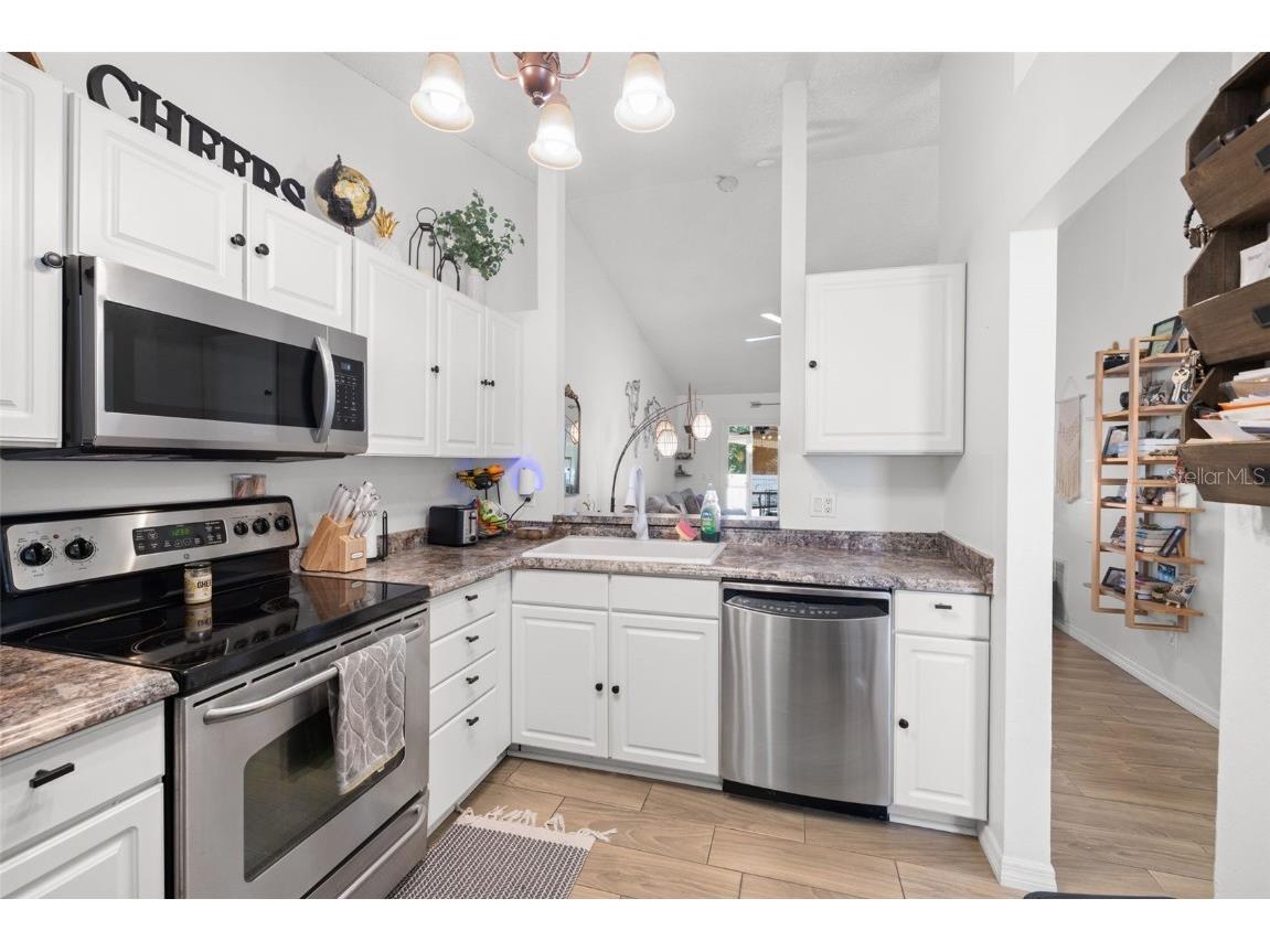 245 Petrea Drive Palm Harbor FL 34684 TB8444967 image8