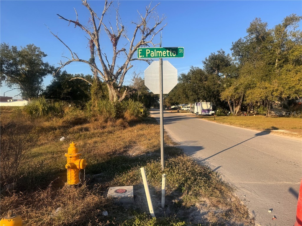 245 S Brevard Avenue Arcadia FL 34266 C7517968 image5