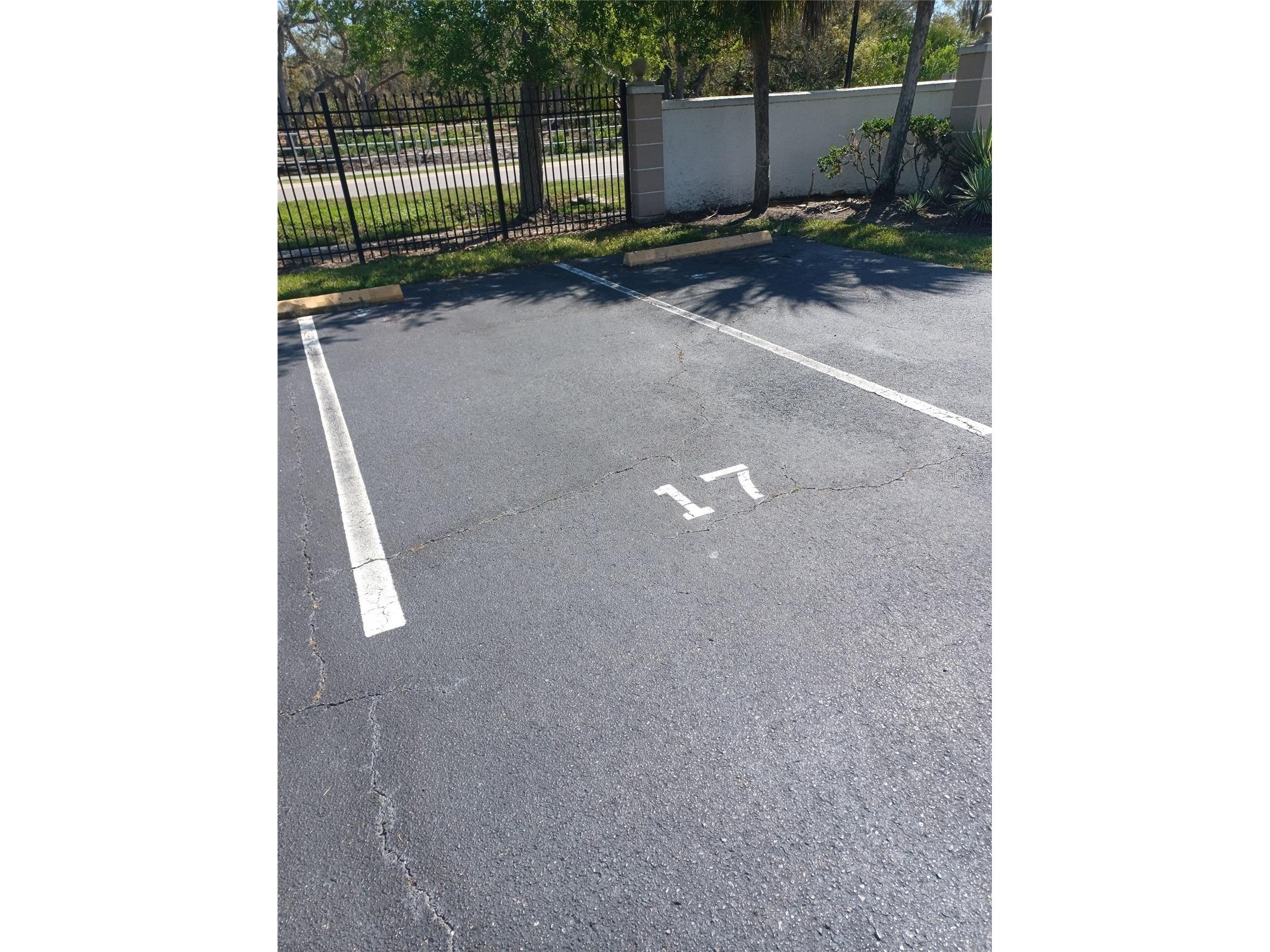 245 S Mcmullen Booth Road #17 Clearwater FL 33759 TB8491676 image4
