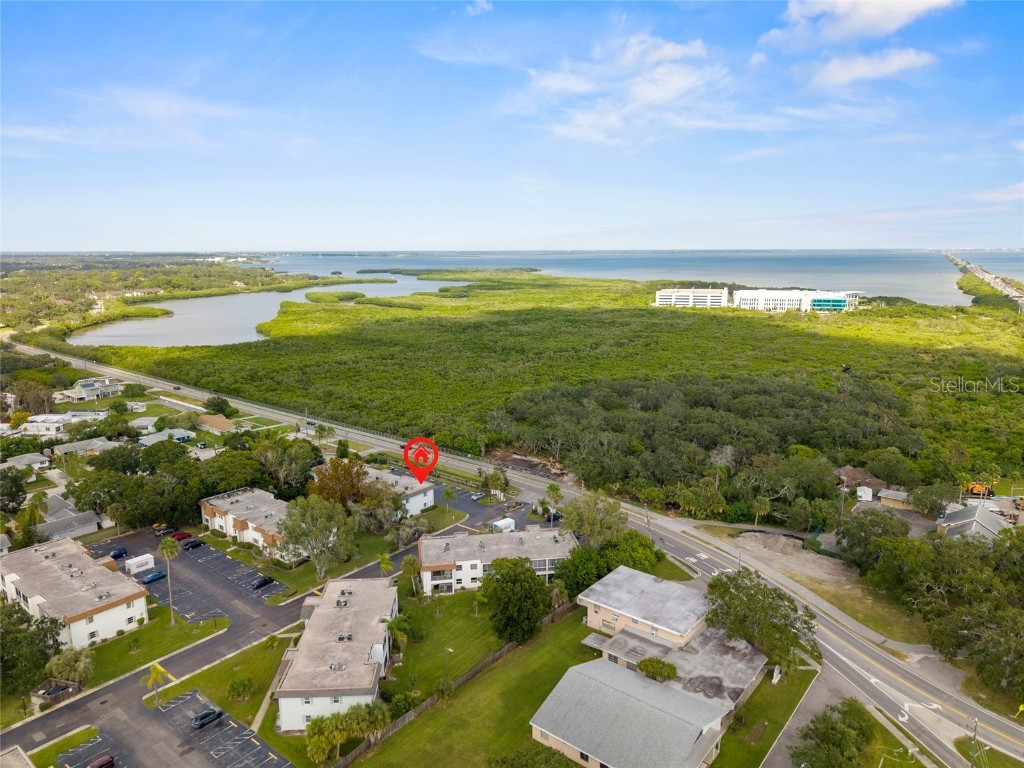 245 S Mcmullen Booth Road #18 Clearwater FL 33759 TB8433600 image20