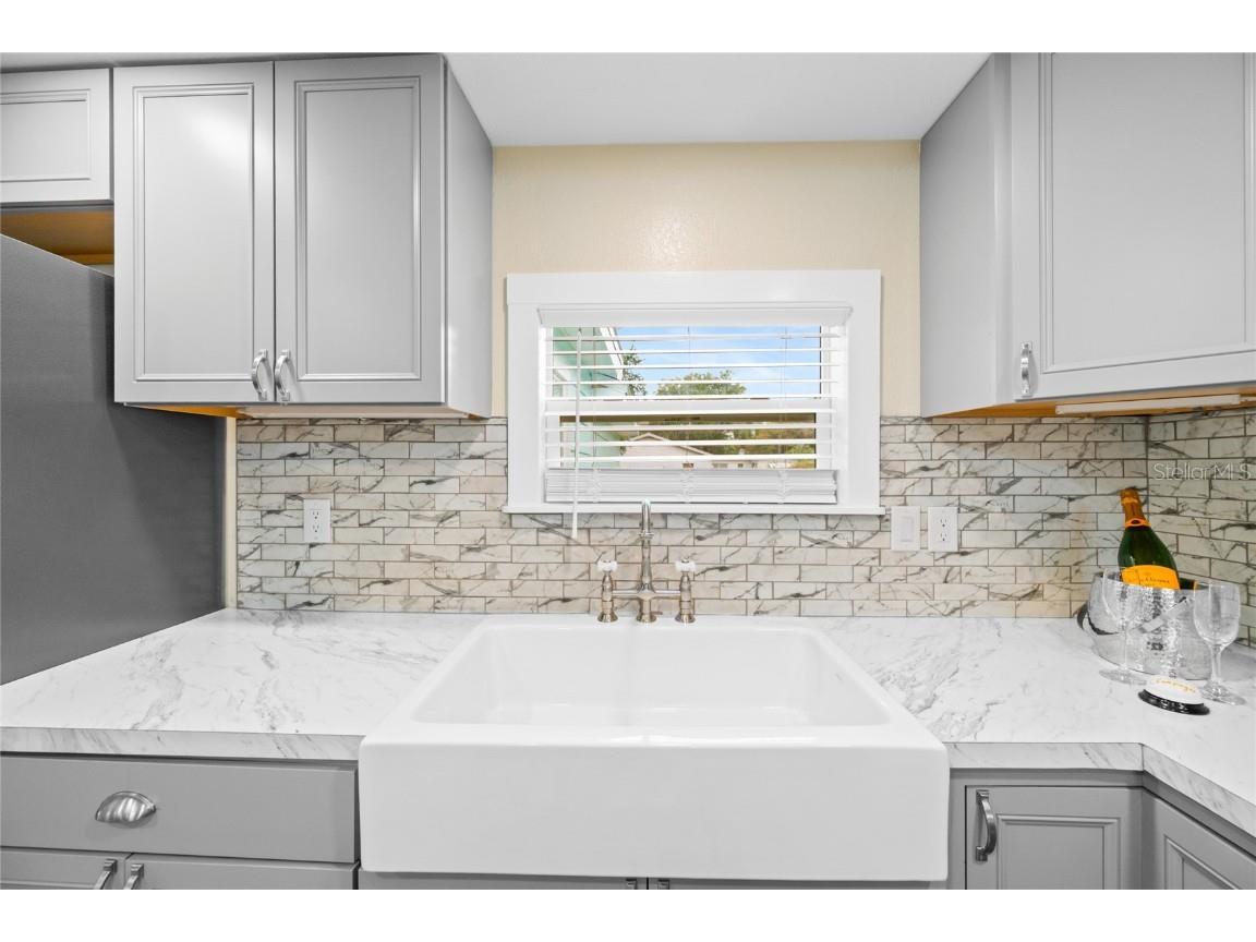 245 S Rhodes Street Mount Dora FL 32757 O6364210 image12