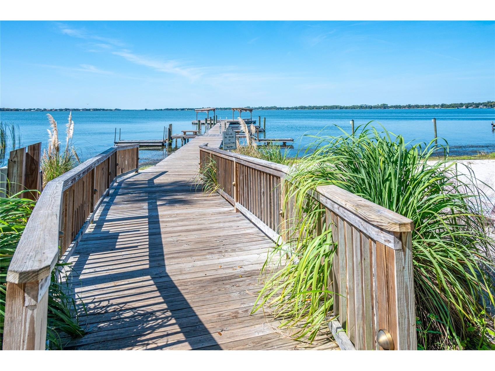 245 S Rhodes Street Mount Dora FL 32757 O6364210 image41