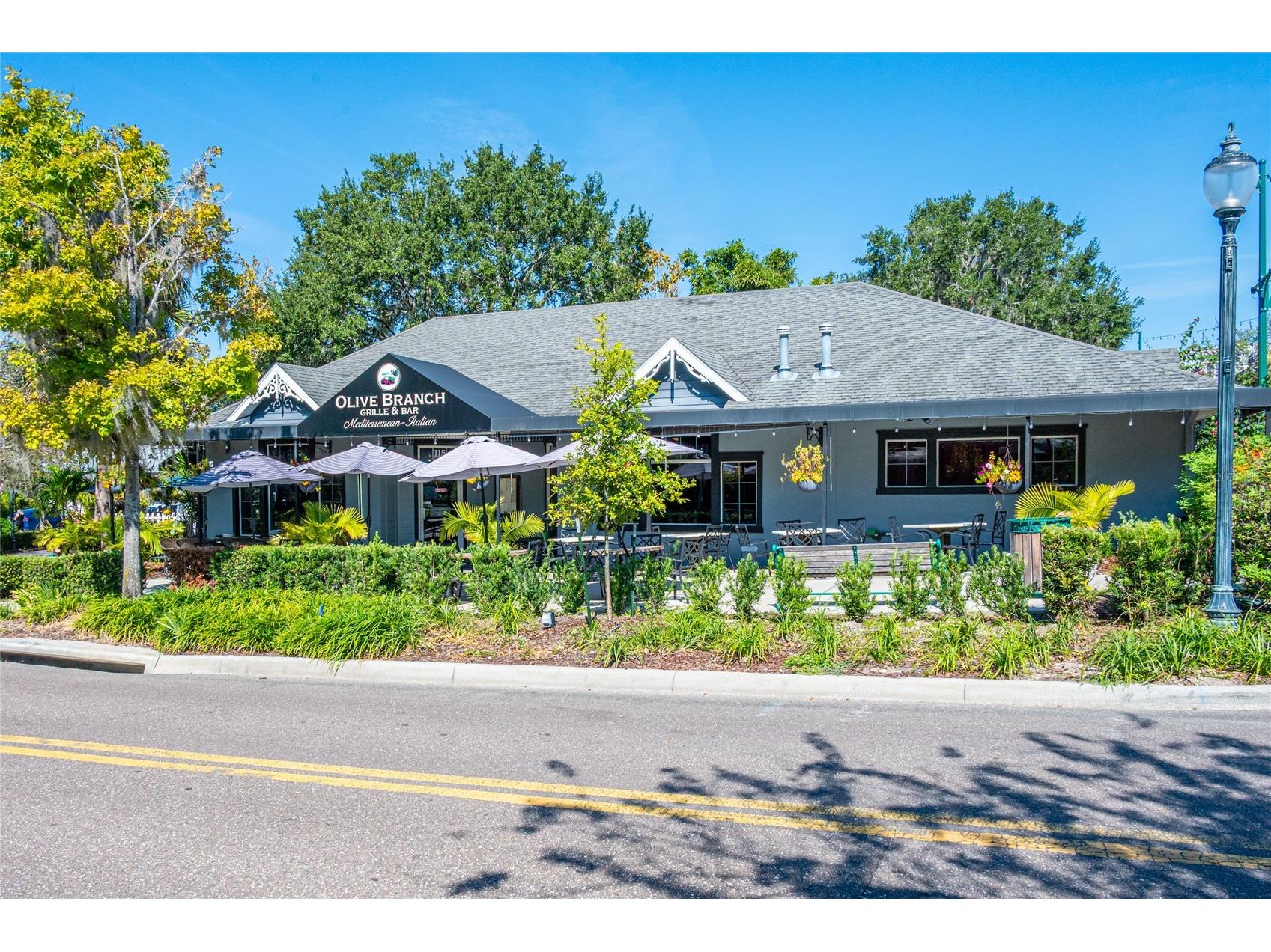 245 S Rhodes Street Mount Dora FL 32757 O6364210 image44