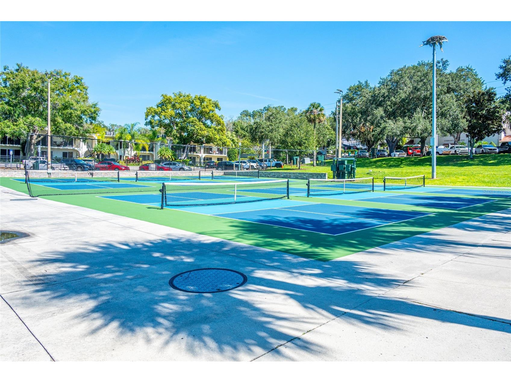 245 S Rhodes Street Mount Dora FL 32757 O6364210 image58