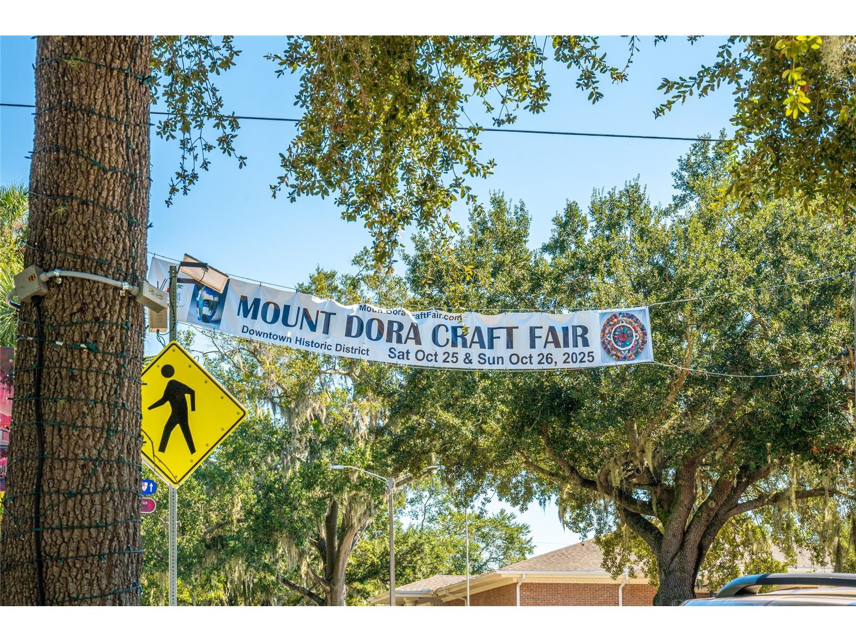 245 S Rhodes Street Mount Dora FL 32757 O6364210 image59