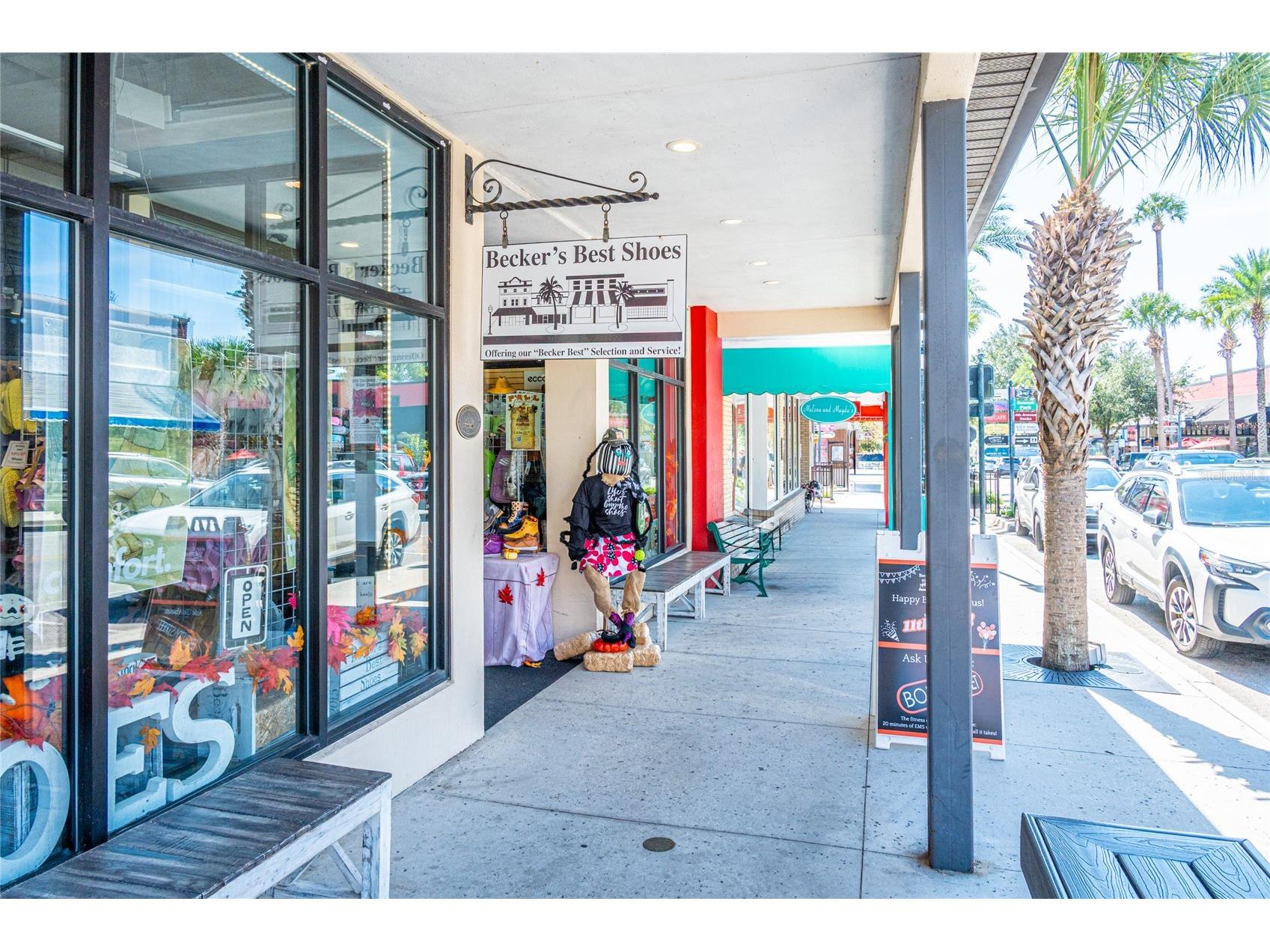 245 S Rhodes Street Mount Dora FL 32757 O6364210 image60