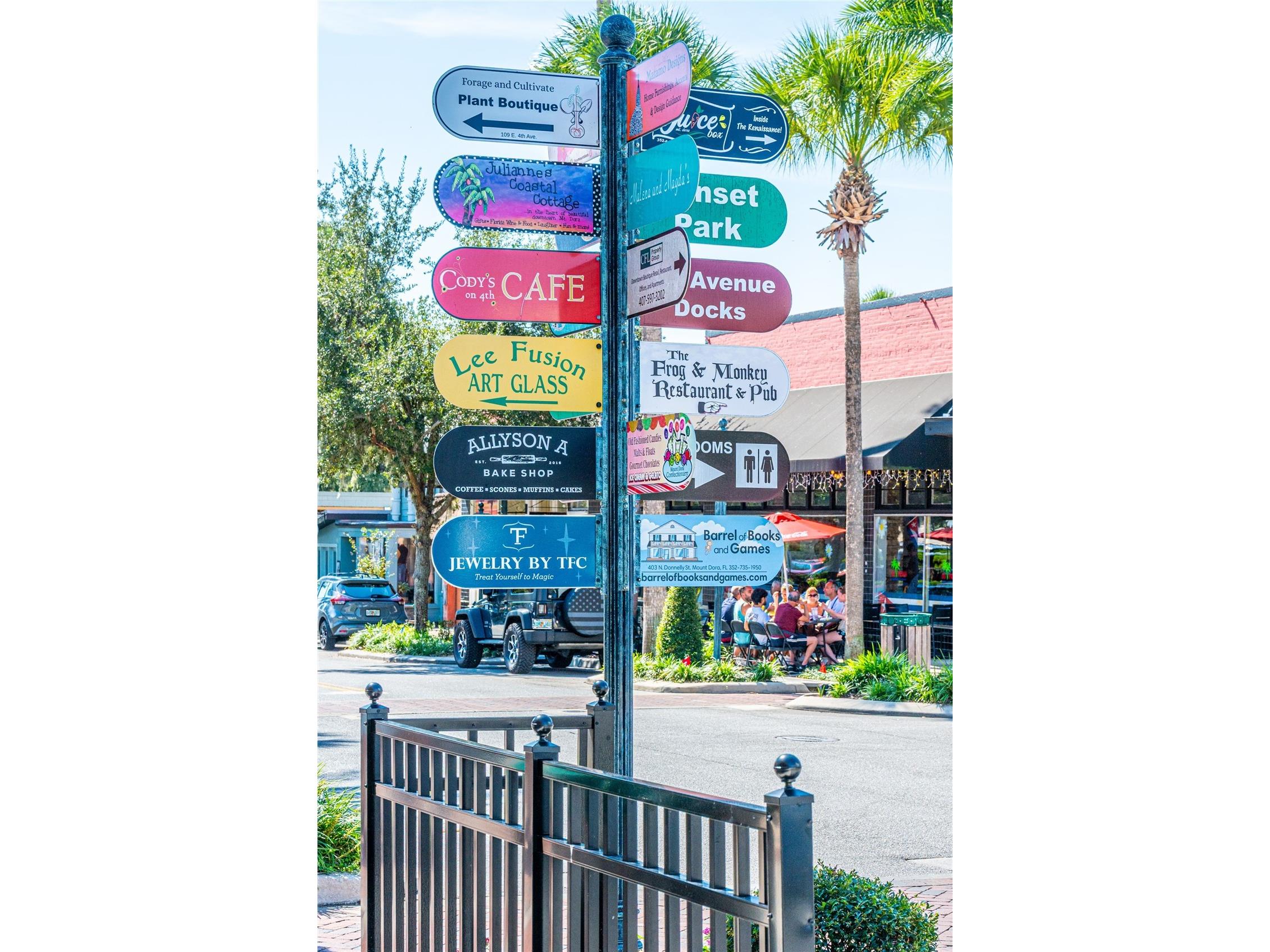 245 S Rhodes Street Mount Dora FL 32757 O6364210 image61