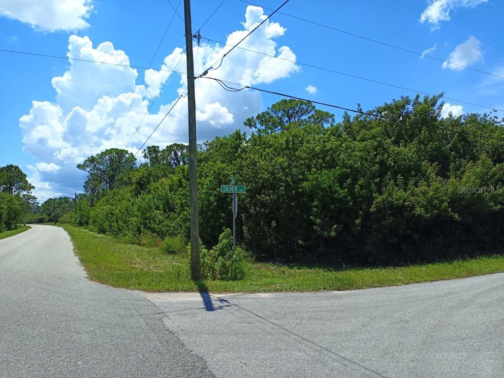 245 Silver Avenue Lake Placid FL 33852 O6058123 image1