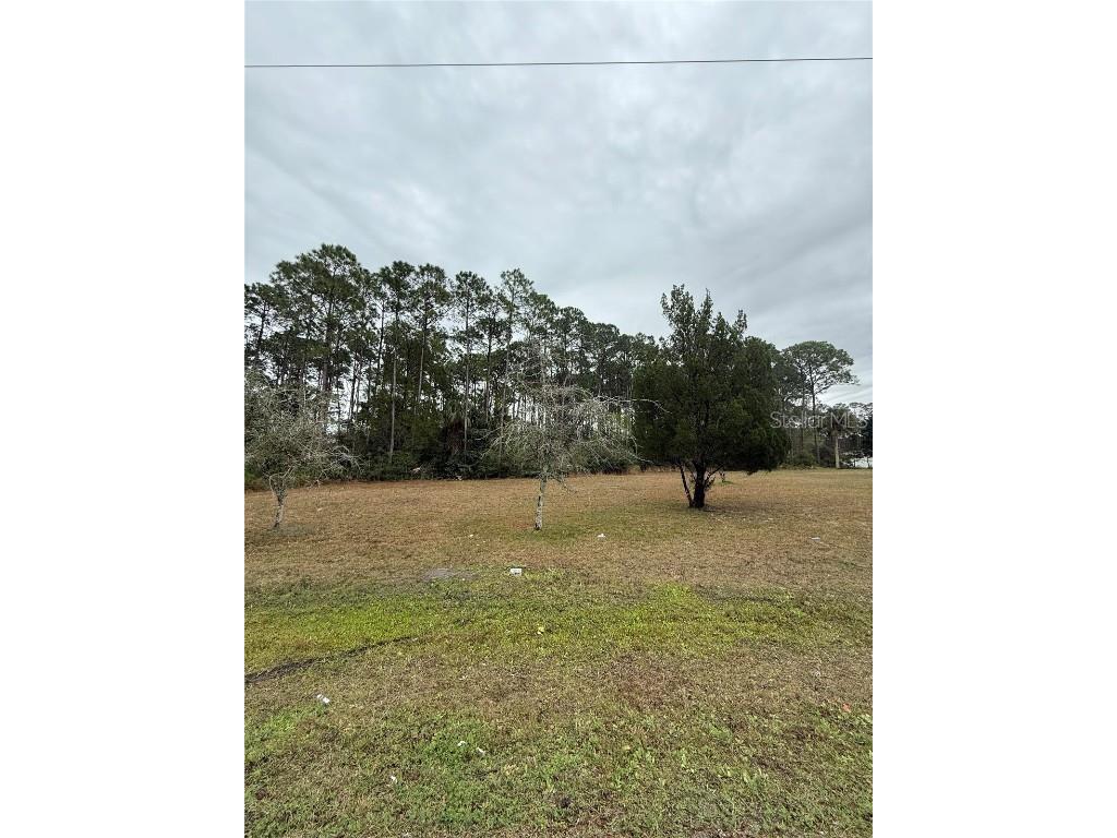 245 Ullian Trail Palm Coast FL 32164 O6284658 image1