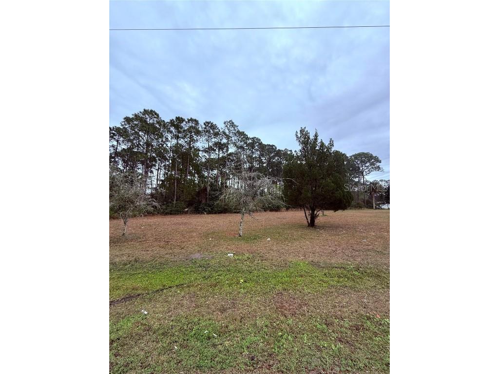 245 Ullian Trail Palm Coast FL 32164 O6284658 image2