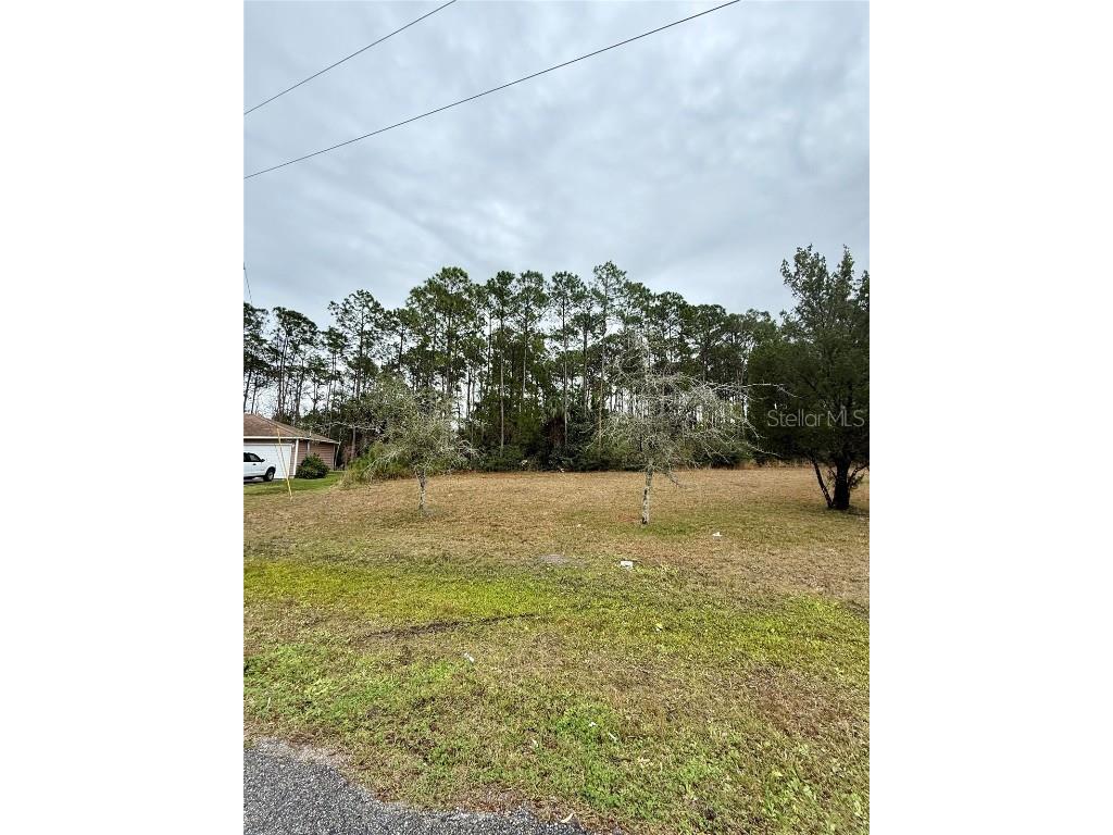 245 Ullian Trail Palm Coast FL 32164 O6284658 image3