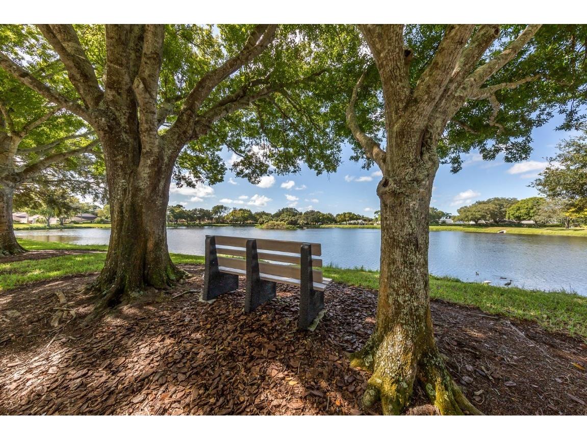 245 Woodingham Trail Venice FL 34292 A4651390 image7