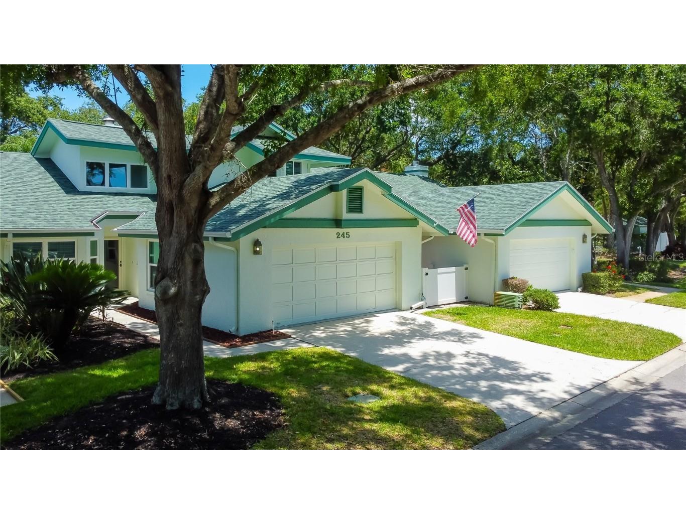 245 Woodridge Circle Oldsmar FL 34677 U8244192 image1