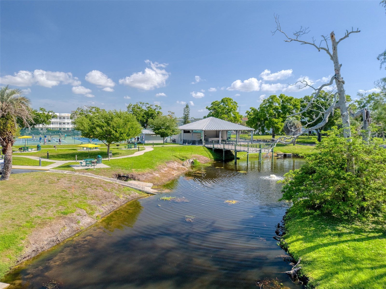 2450 Canadian Way #26 Clearwater FL 33763 TB8494341 image11