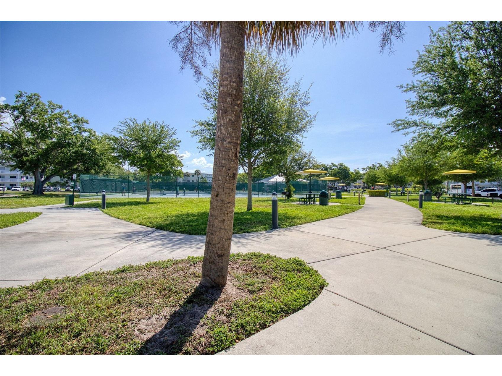 2450 Canadian Way #26 Clearwater FL 33763 TB8494341 image33