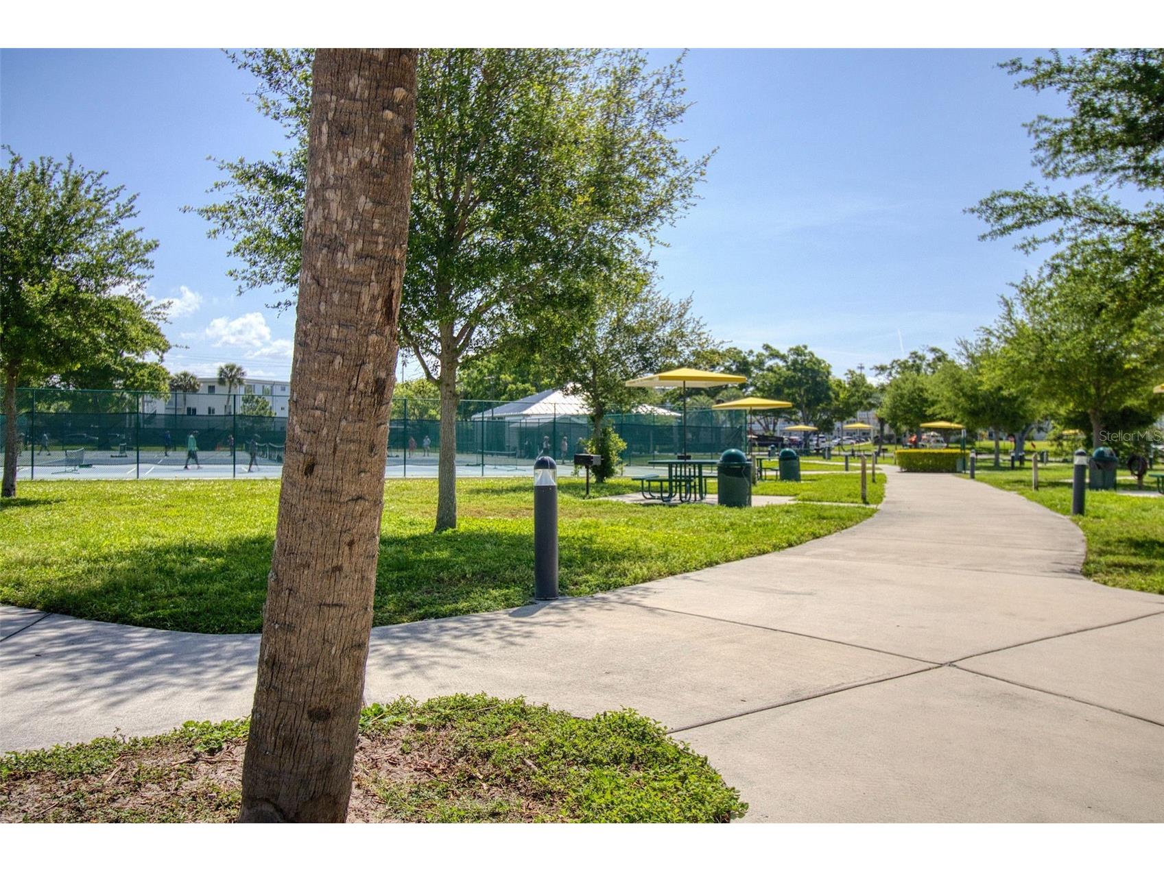 2450 Canadian Way #26 Clearwater FL 33763 TB8494341 image34