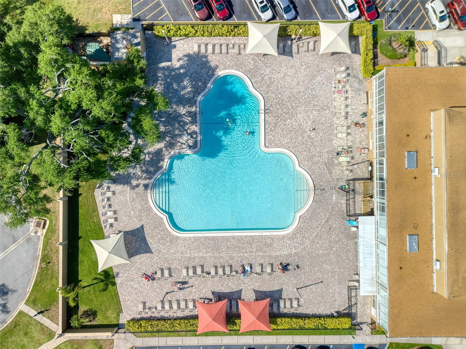 2450 Canadian Way #26 Clearwater FL 33763 TB8494341 image8