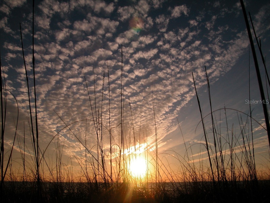 2450 Harbourside Drive #212 Longboat Key FL 34228 - SARASOTA BAY A4606987 image51