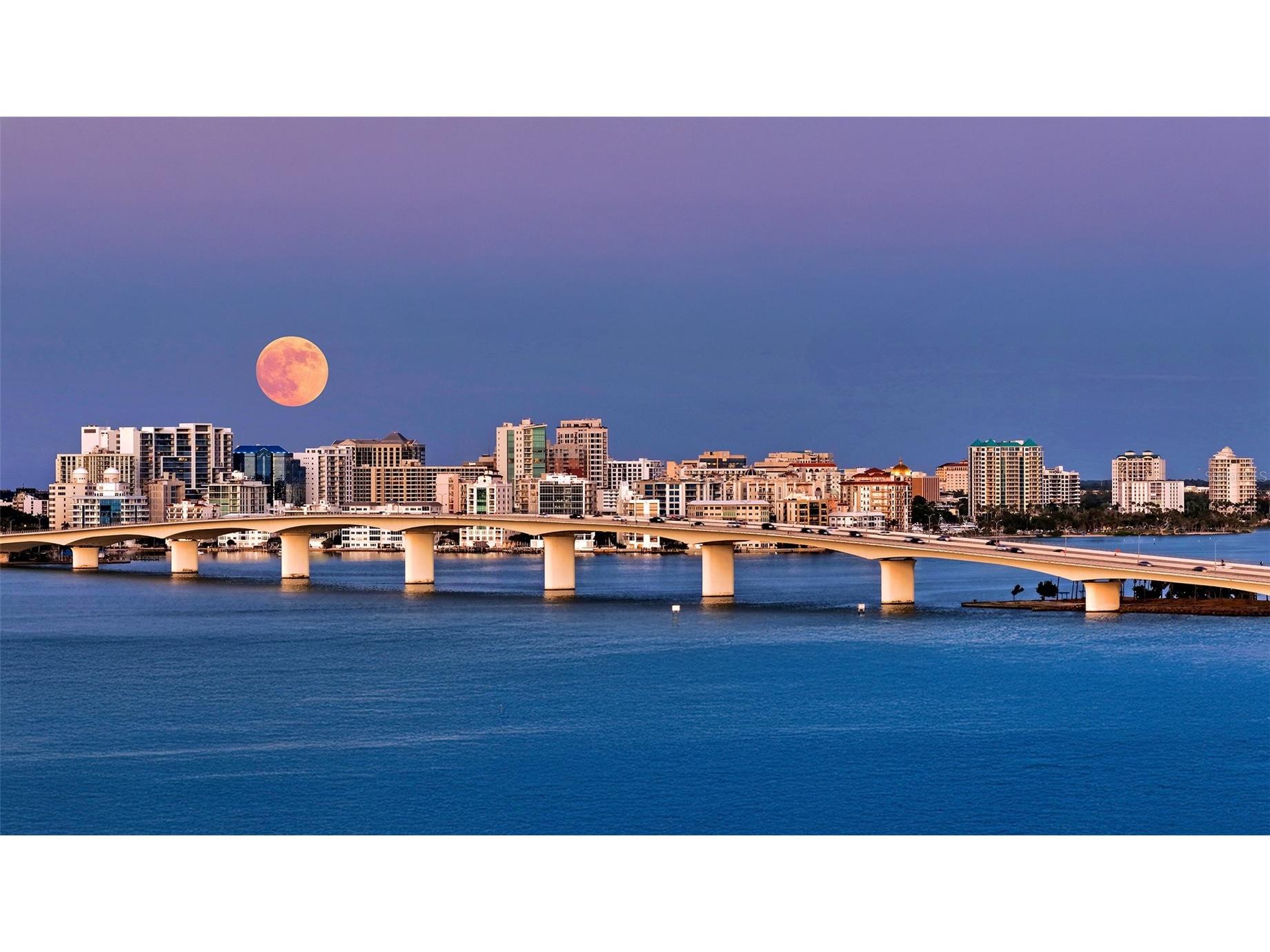 2450 Harbourside Drive #234 Longboat Key FL 34228 - SARASOTA BAY A4682324 image49