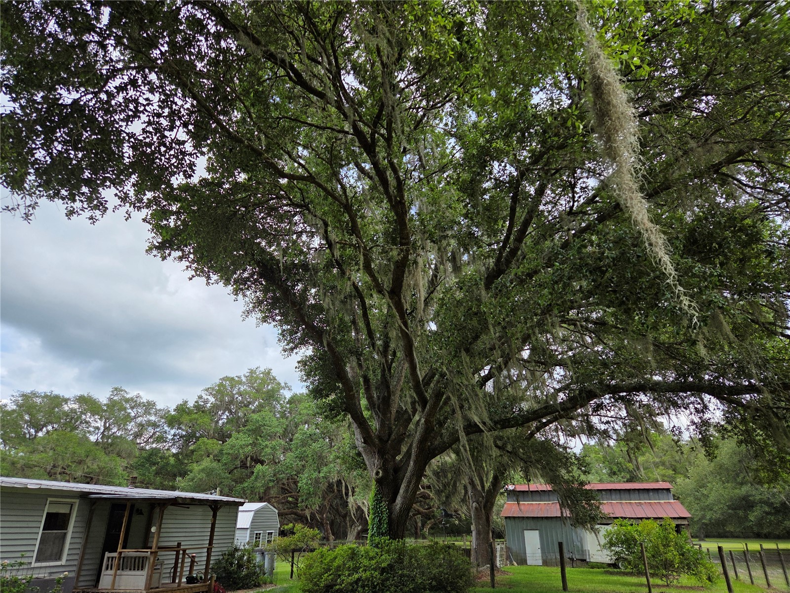 2450 SE 190th Terrace Morriston FL 32668 OM726394 image13
